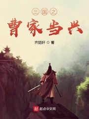 三国战纪乱世枭雄