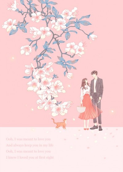 世家弃少夏小宇全文阅读