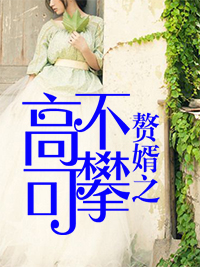 赘婿之高不可攀18小说