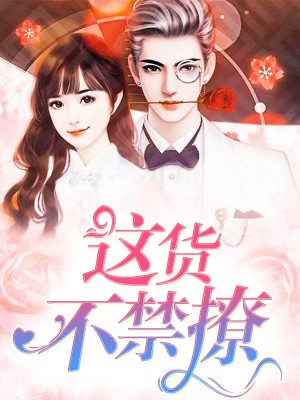 夏知晚官逸景小说名字