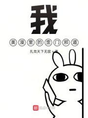 美漫里的歪门邪道TXT下载