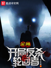 金刚开局反杀轮回者起点