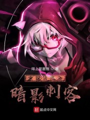 全职法师之暗影刺客最新章节