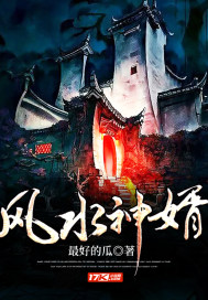 小说风水神婿