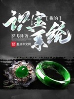 我的识宝系统txt下载 80电子书