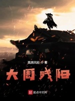 大周残阳tⅹt