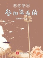 我没想去参加选秀的txt
