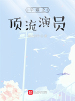 华娱顶流从2010开始的小说