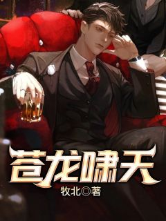 秦江沈如霜小说在线阅读龙啸