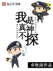 我真不是神探小说免费阅读全文