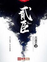 不贰臣 小说