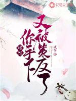 将军你被擒了
