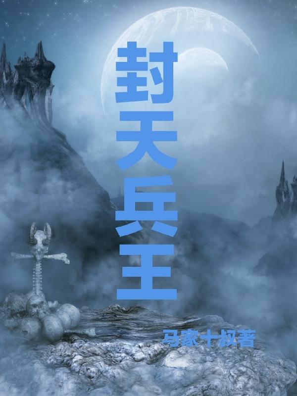 小说主角叶天兵王