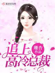 追上高冷总裁小说全本阅读