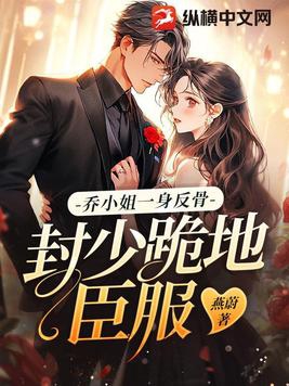 乔小姐有点神秘的小说
