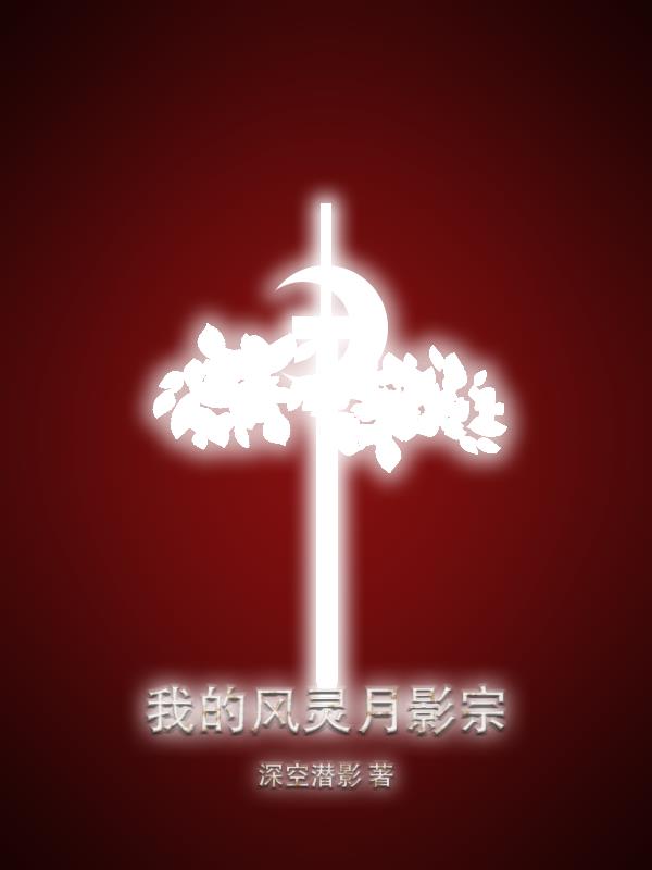 有关风灵月影的小说