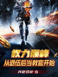 权力巅峰之后是哪部书