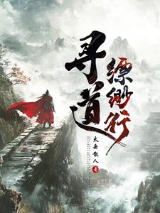 寻道觅天 小说
