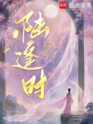 陆时是什么小说