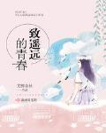 致遥远的青春字数