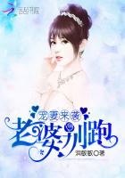宠妻来袭老婆别跑