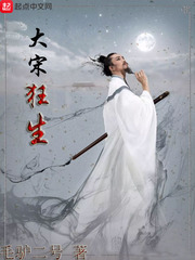 大宋狂生小说全本下载