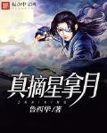 摘星1 小说全文免费阅读
