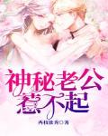 神秘老公惹不起txt免费下载